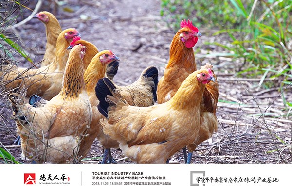 常德市德天廣告有限公司,品牌設(shè)計(jì),活動策劃,影視攝制,廣告設(shè)備租賃,媒體廣告推廣,